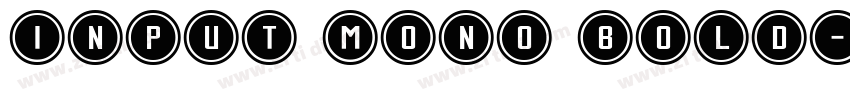 INPUT MONO BOLD字体转换